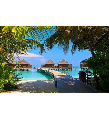 Сказочные Мальдивы — тур из Узбекистана 2026